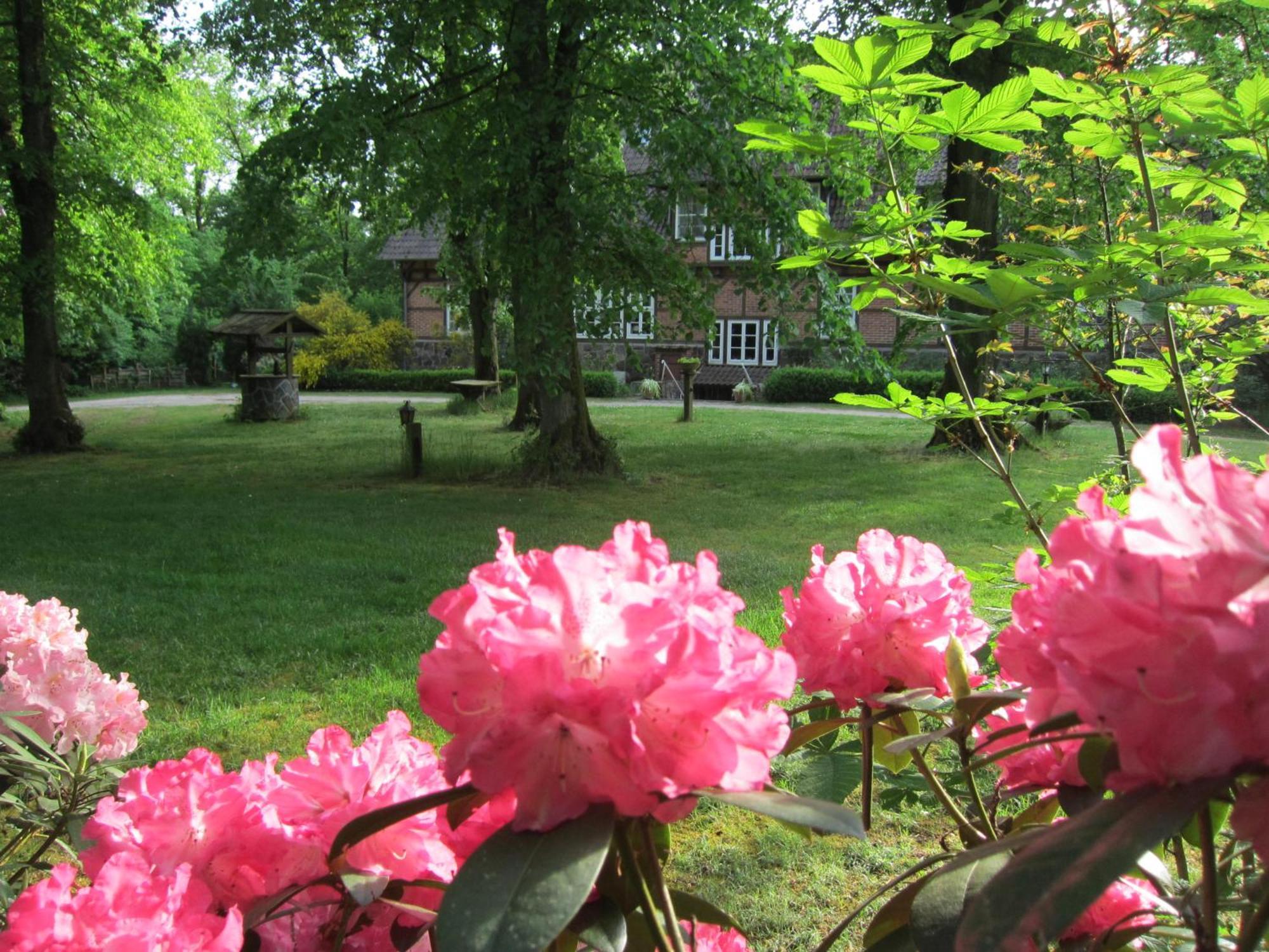Haus Heidetal Bed & Breakfast Bispingen Dış mekan fotoğraf