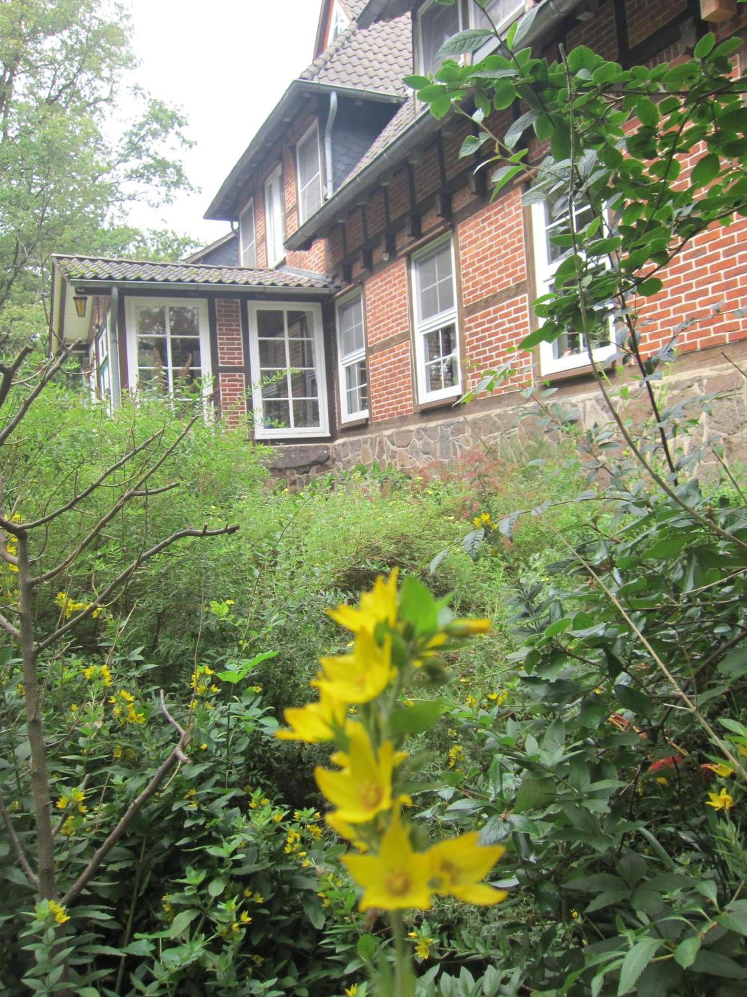 Haus Heidetal Bed & Breakfast Bispingen Dış mekan fotoğraf